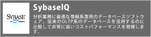 分析業務に最適な情報系専用のデータベースソフトウェア。従来のOLTP系のデータベースを活用するのに比較して非常に高いコストパフォーマンスを発揮します。