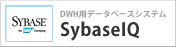 DWH用データベースシステム SybaseIQ