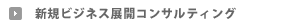 新規ビジネス展開コンサルティング