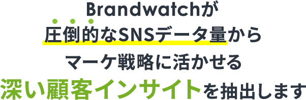 Brandwatchが圧倒的なSNSデータ量から深い顧客インサイトを抽出することを示したテキスト画像