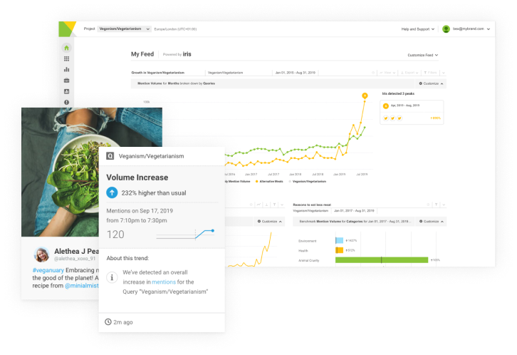 Brandwatch Consumer Research