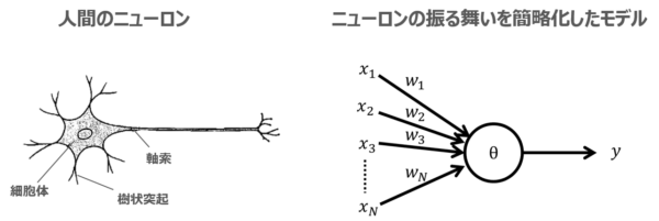 人間のニューロンとニューロンの振る舞いを簡略化したモデル（玉川大学・玉川学園「学習・記憶システム研究室 」、はてなブログ「人工知能であそぶ」）