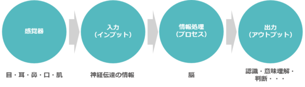 人間が行う情報処理（韮原祐介「いちばんやさしい機械学習プロジェクトの教本」をもとに筆者作成）