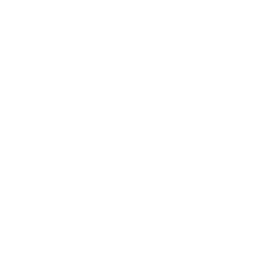 Play Movie