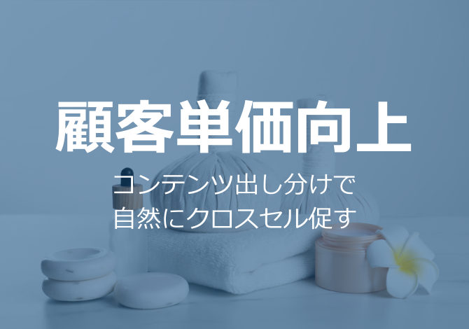 顧客単価向上のためにクロスセル促進、<br>顧客セグメントに応じたコンテンツの出し分けで実現